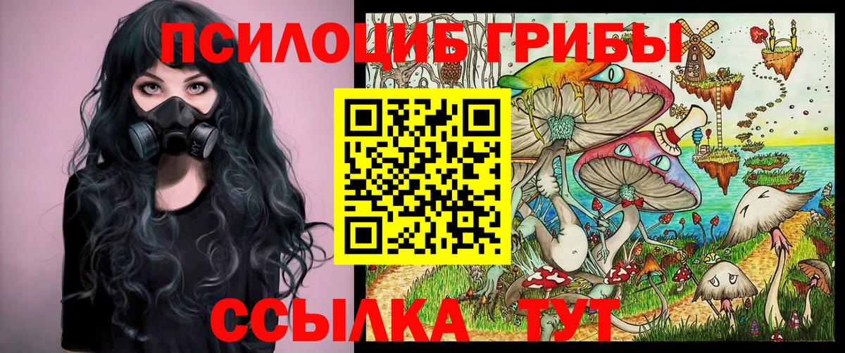 Галлюциногенные грибы Psilocybine cubensis  Вход с VPN  Омск  Псилоцибиновые грибы мицелий 