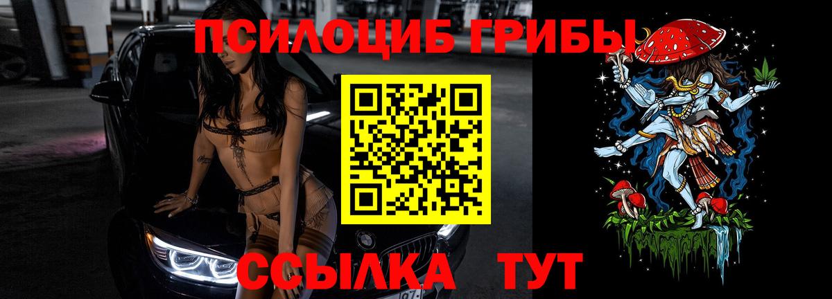 Галлюциногенные грибы Psilocybe Омск
